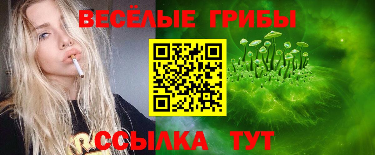 Галлюциногенные грибы Cubensis  Вход с VPN  Ноябрьск 